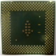 Процессор Intel Celeron 1000A SL5ZF (1000MHz /256kb /100MHz /1.475 V) s370 (Дмитров)