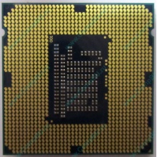 Процессор Intel Celeron G1620 (2x2.7GHz /L3 2048kb) SR10L s.1155 (Дмитров)