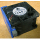 Вентилятор TFB0612GHE для корпусов Intel SR2300 / SR2400 (Дмитров)