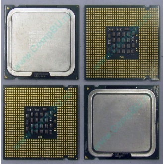 Процессоры Intel Pentium-4 506 (2.66GHz /1Mb /533MHz) SL8J8 s.775 (Дмитров)