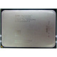 AMD Opteron 6128 OS6128WKT8EGO (Дмитров)