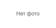 AMD (Дмитров)
